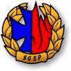 logosgspcien.png