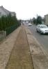 mochy2802171.jpg