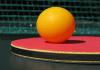 pingpong201117.jpg
